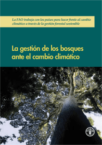 La gestión de los bosques ante el cambio climático