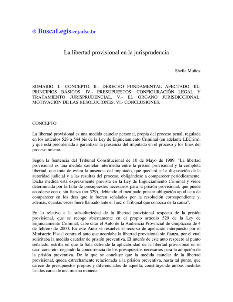 La Libertad Provisional En La Jurisprudencia