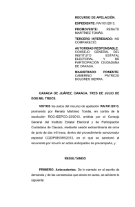 ra/101/2013. promovente