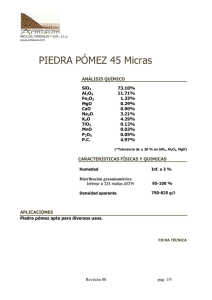 ESPECIFICACIONES + HOJA DE SEGURIDAD Piedra Pomez 45