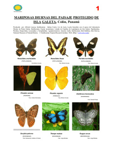 Mariposas Diurnas del Paisaje Protegido de Isla Galeta, Colón