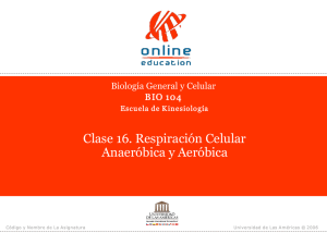 Clase 16. Respiración Celular Anaeróbica y Aeróbica