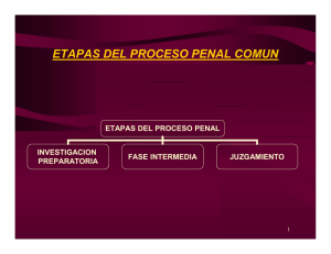 etapas del proceso penal comun