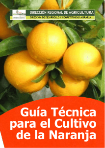 Guía Técnica para el Cultivo de la Naranja