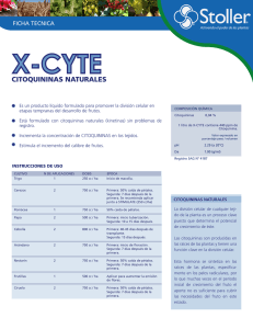 X-Cyte - stoller