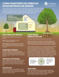 cómo mantener sus árboles vivos en época de sequía