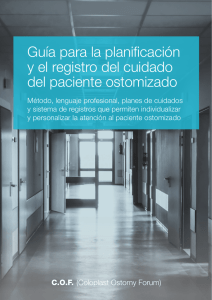 Guía para la planificación y el registro del cuidado del paciente
