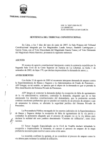 TRIBUNAL CONSTITUCIONAL