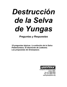 Destrucción de la Selva de Yungas
