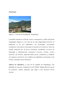 Puyuhuapi Figura 1. Vista de la localidad de Puyuhuapi. Localidad