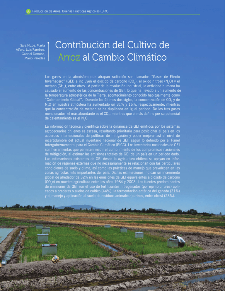 Contribución Del Cultivo De Arroz Al Cambio Climático