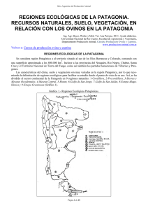 regiones ecológicas de la patagonia. recursos naturales, suelo