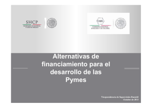 Alternativas de financiamiento para el desarrollo de las Pymes