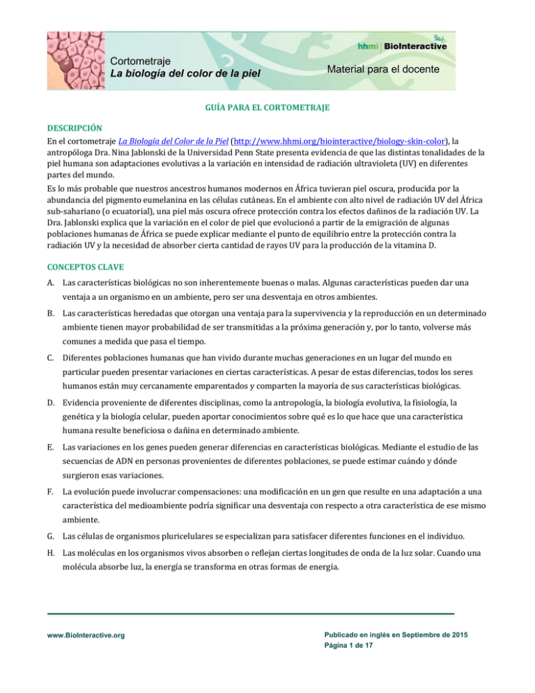 La Biolog a Del Color De La Piel