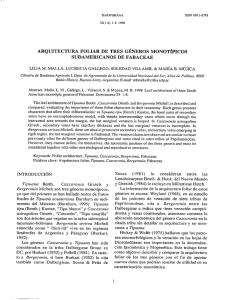 arquitectura foliar de tres géneros monotípicos sudamericanos de