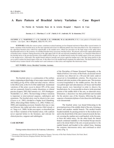 A Rare Pattern of Brachial Artery Variation – Case Report
