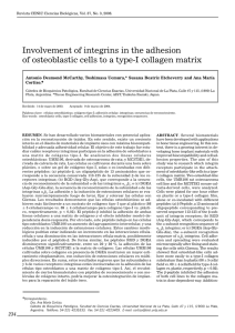 Involvement of integrins in the adhesion of osteoblastic cells to a