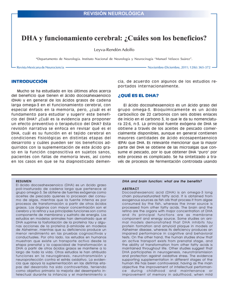 DHA y funcionamiento cerebral ¿Cuáles son los beneficios?