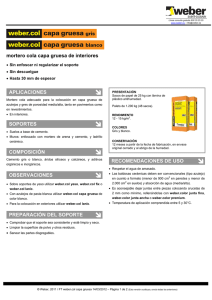 mortero cola capa gruesa de interiores APLICACIONES