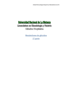 Metabolismo de glúcidos - Bioquimica Kinesiologia UNLaM