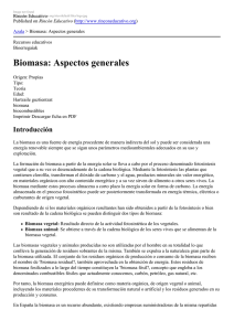 Biomasa: Aspectos generales