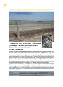 Ficha descriptiva de las Lagunas saladas de Pétrola y Salobrejo y