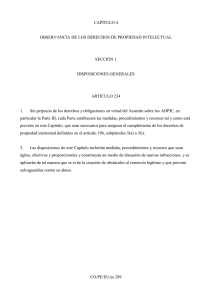 CAPÍTULO 4 OBSERVANCIA DE LOS DERECHOS DE