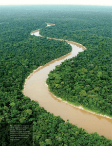 FIG. 1 Vista aérea de la cuenca del río Yaguas en la Amazonía