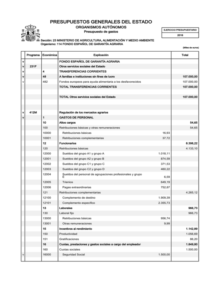 Presupuesto De Gastos