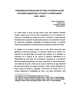 nitrogeno en produccion de trigo, eficiencia de uso de n