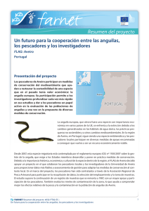 Un futuro para la cooperación entre las anguilas, los pescadores y los
