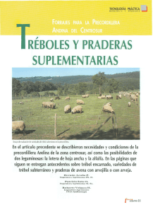 tréboles y praderas