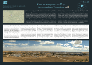 vista de conjunto de écija - Centro de Estudios Paisaje y Territorio
