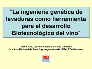 Aplicación de ingeniería genética en levaduras de vino