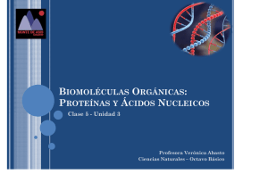 Biomoléculas orgánicas proteínas y ac. nucleicos