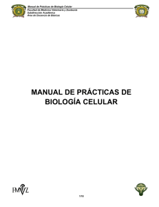 manual de prácticas de biología celular