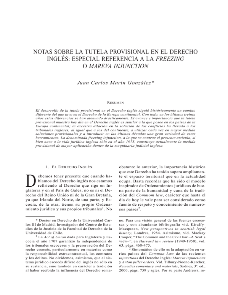 notas sobre la tutela provisional en el derecho inglés