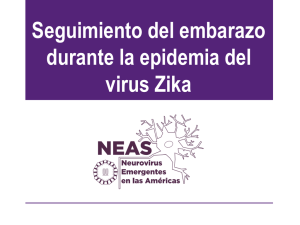 Embarazo durante la epidemia del virus Zika