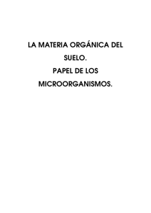 Microorganismos y materia orgánica del suelo