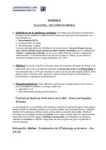 Glaucoma - Universal Lab Ltda.