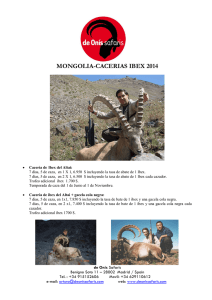 mongolia caceria ibex 2014
