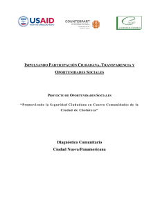 Diagnóstico Comunitario Ciudad Nueva/Panamericana