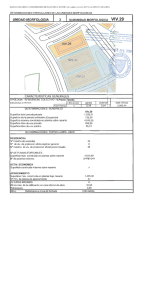 unidad morfologia 3 subunidad morfologica viv.29