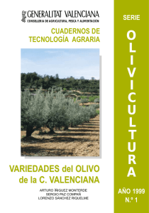 Variedades del Olivo en la Comunidad Valenciana