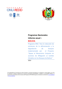 Programas Nacionales: Informe anual – BOLIVIA