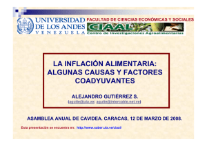 la inflación alimentaria: algunas causas y factores