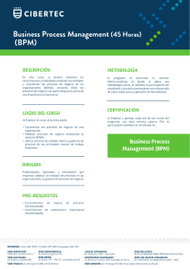 Business Process Management (45 Horas) (BPM)