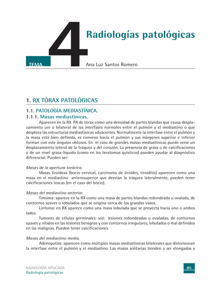 Tema De Muestra