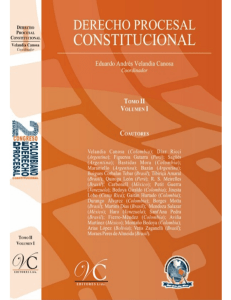 Legitimación en el control concreto y abstracto de constitucionalidad