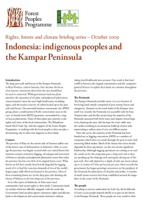 Indonesia: indigenous peoples and the Kampar - REDD